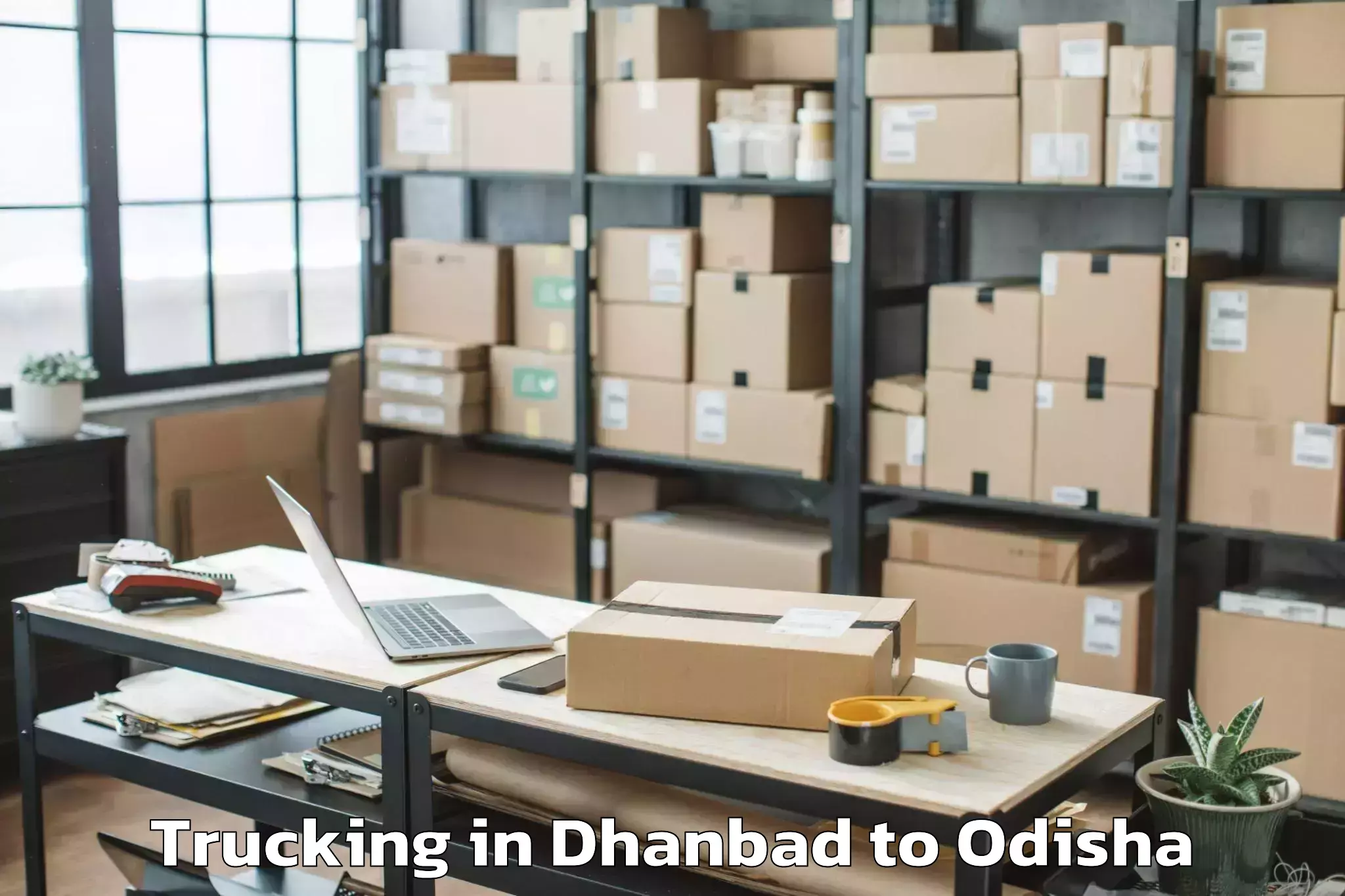 Book Dhanbad to Binka Trucking